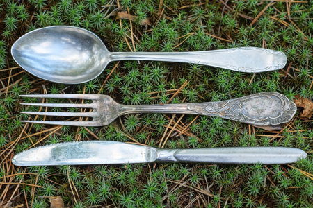 three old gray metal cutlery from a spoon fork and knife lie on green moss on a summer street