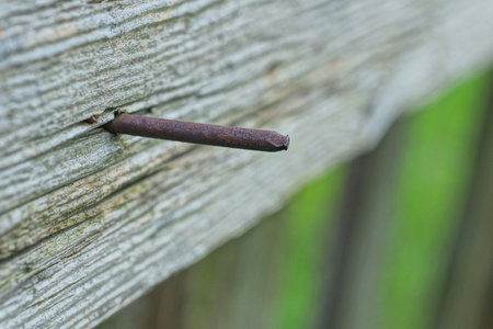 one old brown sharp rusty iron nail sticks out in a gray wooden fence wall in the streetの写真素材
