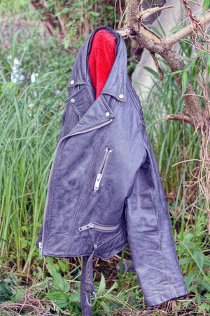 one black leather jacket with red fur hanging on a tree branch