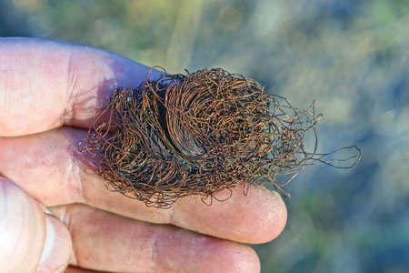 a coil of brown red copper wire lies on the palm of the hand in the streetの写真素材