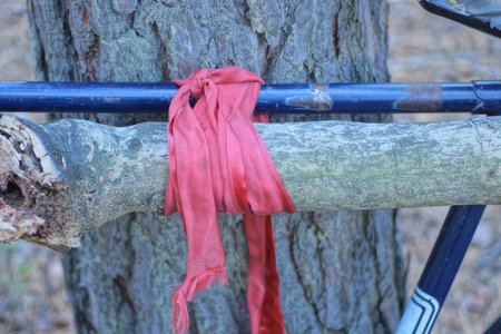 part of blue metal bicycle frame with gray branch tied with red rope near tree on summer streetの写真素材