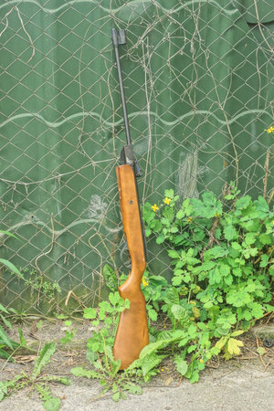 one brown black air rifle with a wooden butt stands against a green wall in the summer street