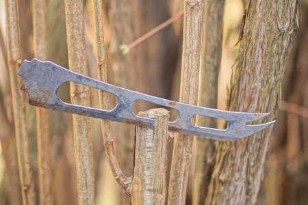 one gray metal blade of an old knife sticks out of a brown tree branch on an autumn street