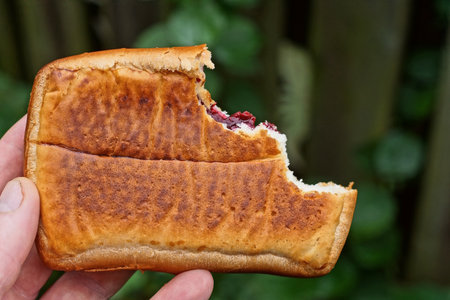 hand holding one brown piece of pie with red jam on green background