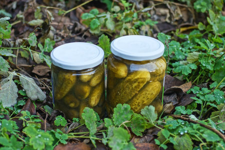 two glass jar with green canned cucumbers standing on the ground in the vegetation in the summer...