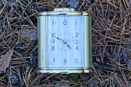 one old rectangular alarm clock lies on the ground on a summer street