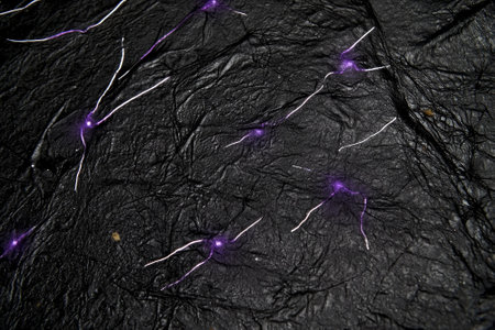 An abstract composition unfolds with tiny purple dots scattered randomly across a deep black canvas. Glowing lines connect them in a stunning constellation-like display, creating a celestial ambience.の写真素材