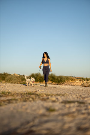 beautiful brunette walks along the beach with her white dog, enjoying a sunny day The shoreline and blue sky create a serene atmosphere perfect for relaxation and bondingの写真素材