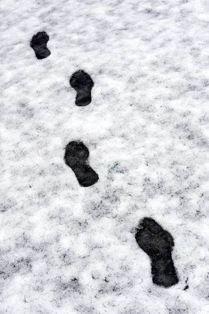 Four footprints in the melting snowの写真素材