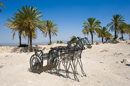 Salomons horses on Tel-Megiddo National park