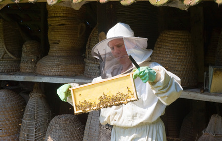 LIEVELDE, THE NETHERLANDS - AUG 08, 2015: An apiarist is checking the frame of a honeycomb and wearing protective clothesのeditorial素材