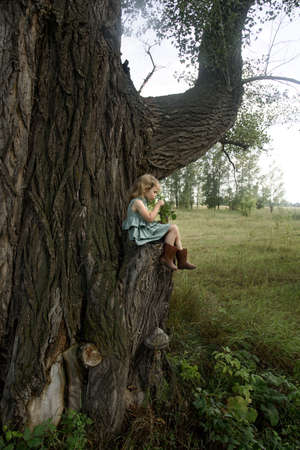 Little girl on a very big tree. High quality photoの写真素材