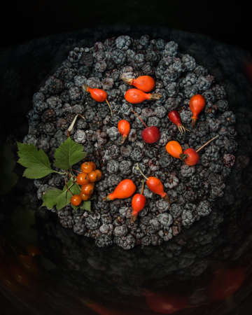 Still life of blackberry berries, rosehip, buckthorn, potassium, hawthorn. High quality photoの写真素材