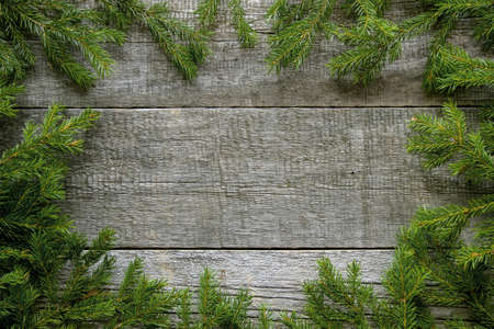Barn boards and green branches ate at the edge.の写真素材