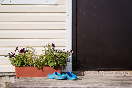 Blue galoshes on the porch by the iron door. Flowerpot on the porch. Scary petunias.