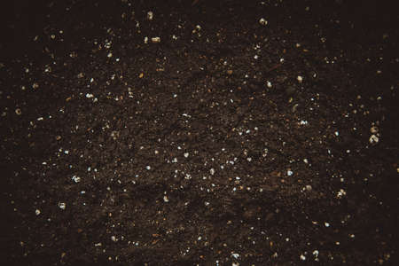 Fertile soil suitable for planting with mineral fertilizers, soil texture background.