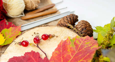 Autumn composition. Fallen leaves red and yellow, rose hips on a wooden board.