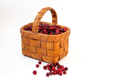 Red cranberries in a wicker basket on a white background with copy space.の写真素材