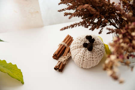Crocheted pumpkin for autumn decor of the house is beigeの写真素材