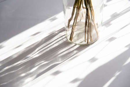 Sunshine hard light and shadows on a white table and a glass vaseの写真素材