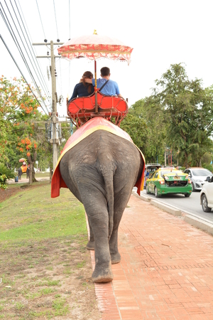 AYUTTHAYA - July 31, 2015 :Tourists on an elephant ride tour of the ancient city Ayutaya a visit to the historic site on July 31, 2015, Ayutthaya city, Thailand.のeditorial素材