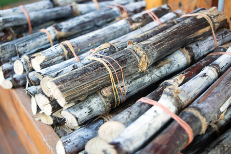 Saccharum for sugar productionの写真素材