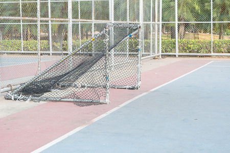 Gold of futsal, Futsal is a variant of association football played on a smaller field and mainly...