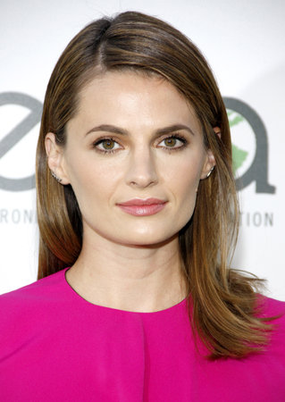 Stana Katic at the 2014 Environmental Media Awards held at the Warner Bros. Studios Lot in Los Angeles, USA on October 18, 2014.のeditorial素材
