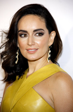 Ana De La Reguera at the Eva Longoria Foundation Dinner held at the Beso in Los Angeles, USA on October 9, 2014.のeditorial素材