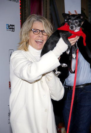 Diane Keaton at the Los Angeles premiere of Darling Companion held at the Egyptian Theater in Hollywood on April 17, 2012.のeditorial素材