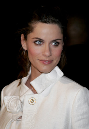 Amanda Peet at the Los Angeles premiere of 'Smokin' Aces' held at the Grauman's Chinese Theatre in Hollywood, USA on January 18, 2007.のeditorial素材