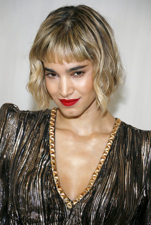 Sofia Boutella at the Hammer Museum Gala In The Garden held at the Hammer Museum in Westwood, USA on October 14, 2017.のeditorial素材