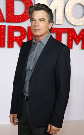 Peter Gallagher at the Los Angeles premiere of 'A Bad Moms Christmas' held at the Regency Village Theatre in Westwood, USA on October 30, 2017.のeditorial素材