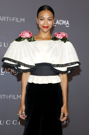 Zoe Saldana at the 2017 LACMA Art + Film Gala held at the LACMA in Los Angeles, USA on November 4, 2017.のeditorial素材