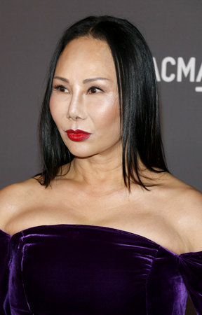Eva Chow at the 2017 LACMA Art + Film Gala held at the LACMA in Los Angeles, USA on November 4, 2017.のeditorial素材