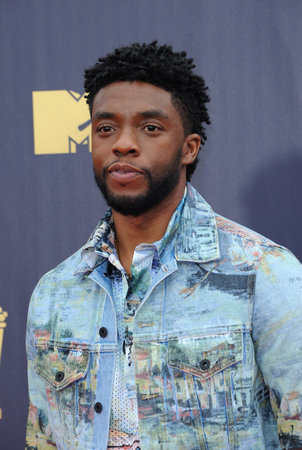 Chadwick Boseman at the 2018 MTV Movie And TV Awards held at the Barker Hangar in Santa Monica, USA on June 16, 2018.のeditorial素材