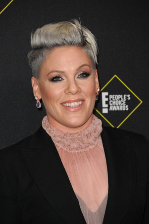 Pink at the 2019 E! People's Choice Awards held at the Barker Hangar in Santa Monica, USA on November 10, 2019.のeditorial素材