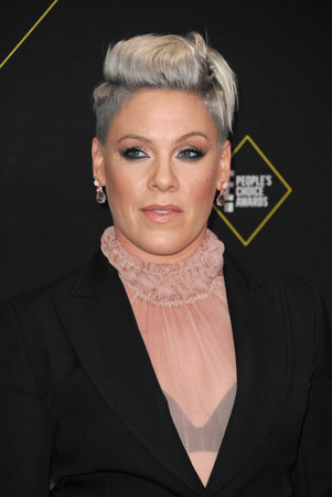 Pink at the 2019 E! People's Choice Awards held at the Barker Hangar in Santa Monica, USA on November 10, 2019.のeditorial素材