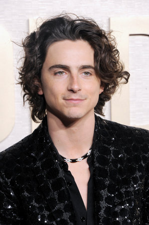 TimothÃ©e Chalamet at the 81st Annual Golden Globe Awards held at the Beverly Hilton Hotel in...