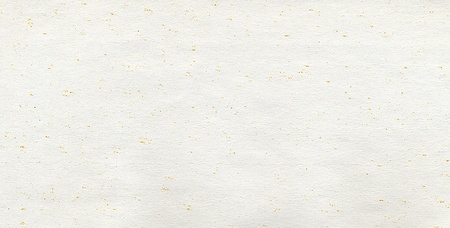Empty sheet of paper with small yellow grains.の写真素材