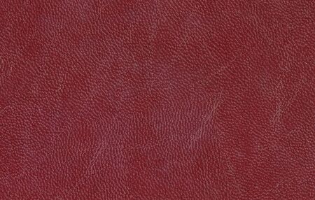 Texture of crumpled animal leather in brown.の写真素材