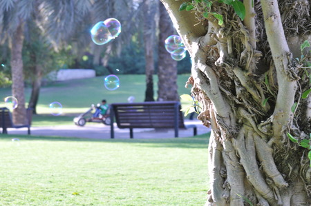 Bubbles in the park
