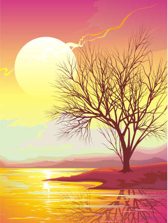 Sunsetのイラスト素材