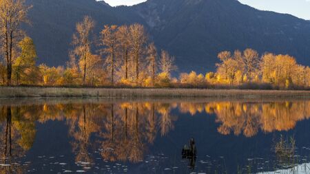 Vancouver, British Columbia, Canada. Fall colour reflected in the still waters of a Canadian Lake in...