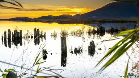 Vancouver, British Columbia, Canada. Fall colour reflected in the still waters of a Canadian Lake in...