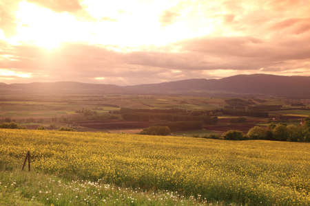 sunset landscape,  meadow in swiss alps
