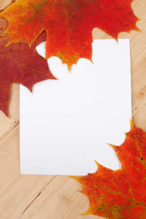 Autumn leaves with paper sheet on wooden background textureの写真素材
