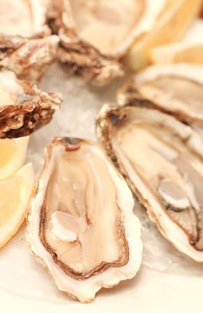 Fresh oysters platter served in ice