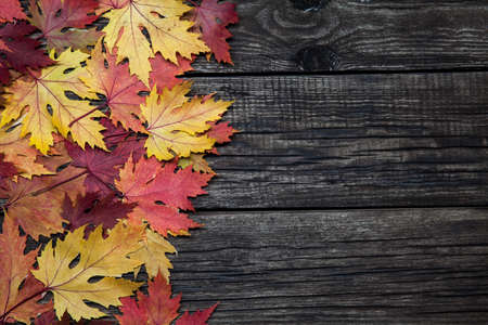 Autumn leaves on wooden background with copy spase