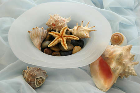 Seashells and pebbles in a bowl on blue silk clothの写真素材